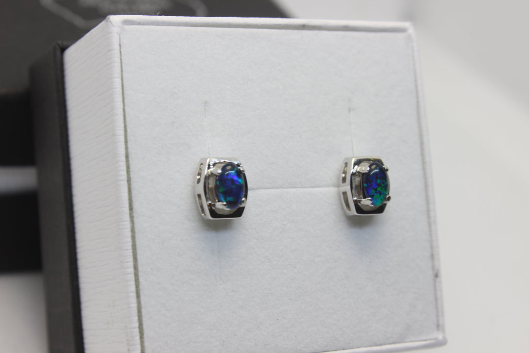 Australian Triplet Opal Earrings in Sterling Silver Setting Earrings Australian Opal House 